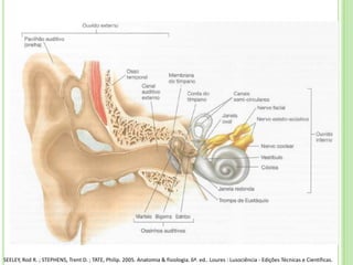 SEELEY, Rod R. ; STEPHENS, Trent D. ; TATE, Philip. 2005. Anatomia & fisiologia. 6ª. ed.. Loures : Lusociência - Edições Técnicas e Científicas.
 