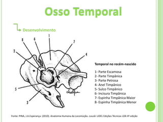 Desenvolvimento




                                                                        Temporal no recém-nascido

                                                                        1- Parte Escamosa
                                                                        2- Parte Timpânica
                                                                        3- Parte Petrosa
                                                                        4- Anel Timpânico
                                                                        5- Sulco Timpânico
                                                                        6- Incisura Timpânica
                                                                        7- Espinha Timpânica Maior
                                                                        8- Espinha Timpânica Menor


Fonte: PINA, J.A.Esperança. (2010). Anatomia Humana da Locomoção. Lousã: LIDEL Edições Técnicas LDA 4ª edição
 