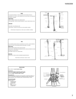 16/06/2009
3
Rádio
É o osso lateral do antebraço. É o mais curto dos dois ossos do antebraço. Articula-se
proximalmente com o úmero e a ulna e distalmente com os ossos do carpo e a ulna. Apresenta
duas epífises e uma diáfise.
Epífise Proximal
Cabeça- É cilíndrica e articula-se com o capítulo do úmero
TuberosidadeRadial - Eminência localizada medialmente, na qual o tendão do bíceps se insere
Epífise Distal
IncisuraUlnar - Face articular para a ulna
IncisuraCárpica - É côncava, lisa e articula-se com o osso escafóide e semilunar
O rádio articula-se com quatro ossos: o úmero, a ulna, o escafóide e o semilunar.
Ulna
É o osso medial do antebraço. Articula-se proximalmente com o úmero e o rádio e distalmente
apenas com o rádio. É um osso longo que apresenta duas epífises e uma diáfise.
Epífise Proximal
Olécrano- Eminência grande que forma a ponta do cotovelo
IncisuraTroclear - Grande depressão formada pelo olécrano e o processo coronóide e serve para
articulação com a tróclea do úmero
IncisuraRadial - Articula-se com a cabeça do rádio
Epífise Distal
Cabeçada Ulna - Eminência articular arredondada localizada lateralmente
A ulna articula-se com dois ossos: o úmero e o rádio.
Ossos da mão
A mão se divide em: carpo, metacarpo e falanges.
Ossos do Carpo
São oito ossos distribuídos em duas fileiras: proximal e distal.
Fileira Proximal: Escafóide, Semilunar, Piramidal e Pisiforme
Fileira Distal: Trapézio, Trapezóide, Capitato e Hamato
Ossos do Metacarpo
É constituído por 5 ossos metacarpianos que são numerados no sentido látero-medial em I, II,
III,IV e V e correspondem aos dedos da mão. Considerados ossos longos, apresentam uma
epífise proximal que é a base, uma diáfise (corpo) e uma epífise distal que é a cabeça.
Ossos dos Dedos da Mão
Apresentam 14 falanges:
Do 2º ao 5º dedos:
1ª falange (Proximal)
2ª falange (Média)
3ª falange (Distal)
Polegar:
1ª falange (Proximal)
2ª falange (Distal)
semilunar
 
