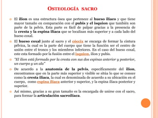 OSTEOLOGÍA SACRO
 El ilion es una estructura ósea que pertenece al hueso ilíaco y que tiene
mayor tamaño en comparación con el pubis y el isquion que también son
parte de la pelvis. Esta parte es fácil de palpar gracias a la presencia de
la cresta y la espina ilíaca que se localizan más superior y a cada lado del
hueso coxal.
 El hueso coxal junto al sacro y el cóccix se encarga de formar la cintura
pélvica, la cual es la parte del cuerpo que tiene la función ser el centro de
unión entre el tronco y los miembros inferiores. En el caso del hueso coxal,
este esta formado por la fusión entre el isquion, ilion y pubis.
 "El ilion está formado por la cresta con sus dos espinas anterior y posterior,
un cuerpo y un ala"
 De acuerdo a la anatomía de la pelvis, específicamente del ilion,
encontramos que en la parte más superior y visible se sitúa lo que se conoce
como la cresta ilíaca, la cual es denominada de acuerdo a su ubicación en el
cuerpo, como espina ilíaca anterior y superior, y la espina ilíaca posterior y
superior.
 Así mismo, gracias a su gran tamaño es la encargada de unirse con el sacro,
para formar la articulación sacroilíaca.
 