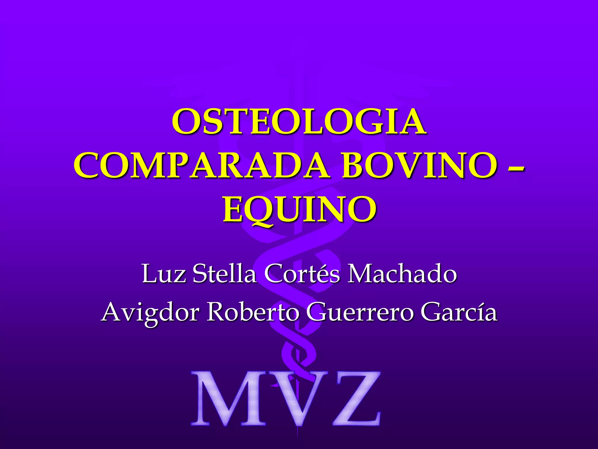 Osteologia comparada bovino equino PPT