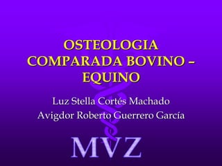OSTEOLOGIA
COMPARADA BOVINO –
EQUINO
Luz Stella Cortés Machado
Avigdor Roberto Guerrero García
 