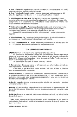 c) Arco Anterior: En la parte media presenta un tubérculo y por detrás de él una carilla
para articular con la apófisis odontoides del axis.
d) Arco Posterior: En la parte media y posterior presenta el tubérculo posterior del
atlas. En la parte superior del arco se ve un canal para la arteria vertebral.

2° Vértebra Cervical, C2 o Axis: Se caracteriza porque de la cara superior de su
cuerpo se origina una eminencia vertical llamada apófisis odontoides o diente del Axis.
Este presenta en su cara anterior una carilla articular para el arco anterior del atlas y en
la cara posterior una carilla para ligamentos.

7° Vértebra Cervical, C7 o Prominente: Es de transición, por lo tanto tiene el vértice
de su apófisis espinosa un tuberculo y es muy larga, por esto se le llama vértebra
prominente, ya que se hace palpable en el sector posterior del cuello.
      Las apófisis transversas son también unituberculosas y pueden no presentar
agujeros.

1° Vértebra Dorsal, D1: También es de transición, presenta en el cuerpo una carilla
completa para la 1°costilla y abajo ¼ de carilla para la 2° costilla.

11° y 12° Vertebra Dorsal, D11 y D12: Presentan una sola carilla en el cuerpo para las
11° y 12° costillas. No presentan carillas en las apófisis trasnversas


                          VERTEBRAS SACRAS Y COXIGEAS

SACRO: Formado por la fusión de las 5 primeras vértebras pélvicas.
      Es aplanado de delante atrás, mucho más voluminoso por arriba que por abajo,
más ancho en la mujer que en el hombre. Tiene la forma de una pirámide cuadrángular.
Está dirigido oblicuamente hacia abajo y atrás formando con la 5a. Vértebra Lumbar, el
ángulo sacrovertebral o promontorio.
       Se le distinguen una base, un vértice, 2 caras y 2 bordes.

1.- Cara anterior: Cóncava presenta en la línea media una columna ósea formada por
los cuerpos de las 5 vértebras sacras.
       A los lados se ven 4 agujeros sacros anterior y por fuera de ellos se observan
unos canales de dirección transversal.

2.- Cara Posterior: Es convexa. En la línea media presento una cresta saliente que es
la cresta sacra media. A cada lado un canal longitudinal. Por fuera 5 tubérculos sacros
posteriores internos, por fuera los agujeros sacros posterior y luego una nueva columna
de tubérculos sacros postero externos.

3.- Bordes Laterales: Anchos en la parte superior, articulan con los coxales y por abajo
terminan en un borde libre.

4.- Base: En la linea media presenta una carilla oval para la 5° vertebra lumbar, por
detrás el orificio superior del conducto sacro, a los lados una superficie triangular o aleta
del sacro.

5.- Vértice: Presenta un superficie elíptica para articular con el coxis y el orificio inferior
del conducto sacro.

COXIS: Hueso impar que ocupa la línea media y está formada por 4 ó 5 vertebras
rudimentarias. Aplanado en sentido anteroposterior, presenta 2 caras, 2 bordes, una
base y un vértice.

1.- Cara Anterior: cóncava.


                                                                                             3
 