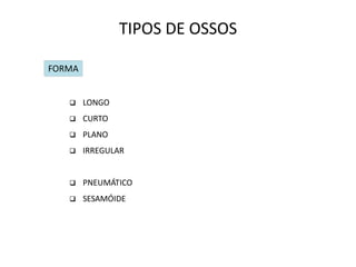 TIPOS DE OSSOS

FORMA


       LONGO
       CURTO
       PLANO
       IRREGULAR


       PNEUMÁTICO
       SESAMÓIDE
 