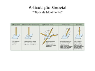 Articulação Sinovial
 * Tipos de Movimento*
 