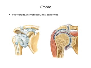 Ombro
• Tipo esferóide, alta mobilidade, baixa estabilidade
 