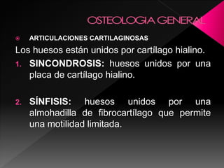  ARTICULACIONES CARTILAGINOSAS
Los huesos están unidos por cartílago hialino.
1. SINCONDROSIS: huesos unidos por una
placa de cartílago hialino.
2. SÍNFISIS: huesos unidos por una
almohadilla de fibrocartílago que permite
una motilidad limitada.
 