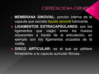 3. MEMBRANA SINOVIAL: porción interna de la
capsula que secreta liquido sinovial lubricante.
 LIGAMENTOS EXTRACAPSULARES: son los
ligamentos que viajan entre los huesos
adyacentes a través de la articulación, un
ejemplo son los ligamentos cruzados de la
rodilla.
 DISCO ARTICULAR: es el que se adhiere
firmemente a la capsula auricular fibrosa.
 