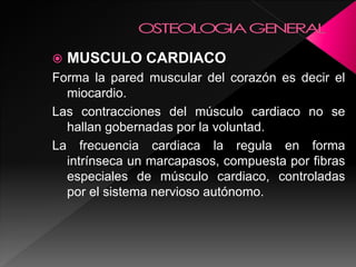  MUSCULO CARDIACO
Forma la pared muscular del corazón es decir el
miocardio.
Las contracciones del músculo cardiaco no se
hallan gobernadas por la voluntad.
La frecuencia cardiaca la regula en forma
intrínseca un marcapasos, compuesta por fibras
especiales de músculo cardiaco, controladas
por el sistema nervioso autónomo.
 