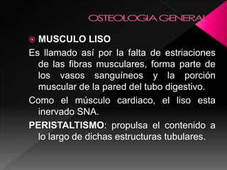  MUSCULO LISO
Es llamado así por la falta de estriaciones
de las fibras musculares, forma parte de
los vasos sanguíneos y la porción
muscular de la pared del tubo digestivo.
Como el músculo cardiaco, el liso esta
inervado SNA.
PERISTALTISMO: propulsa el contenido a
lo largo de dichas estructuras tubulares.
 