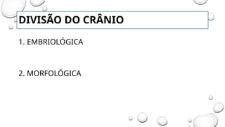 DIVISÃO DO CRÂNIO
1. EMBRIOLÓGICA
2. MORFOLÓGICA
 