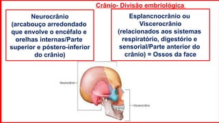 Crânio- Divisão embriológica
Esplancnocrânio ou
Viscerocrânio
(relacionados aos sistemas
respiratório, digestório e
sensorial/Parte anterior do
crânio) = Ossos da face
Neurocrânio
(arcabouço arredondado
que envolve o encéfalo e
orelhas internas/Parte
superior e póstero-inferior
do crânio)
 