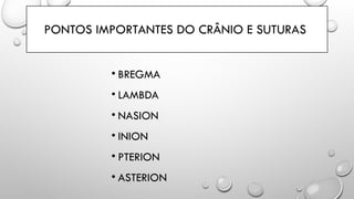 PONTOS IMPORTANTES DO CRÂNIO E SUTURAS
• BREGMA
• LAMBDA
• NASION
• INION
• PTERION
• ASTERION
 