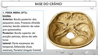 BASE DO CRÂNIO
1. FOSSA MEDIA (27%)
Limites
Anterior: Bordo posterior das
pequenas asas, Processo clinoide
anterior, bordo anterior do sulco
pre-quiasmatico
Posterior: Bordo superior da
porção petrosa, dorso da sela
turca
Lateral: Parte escamosa do
temporal, Esfenoide (Asas
maiores), Parietal (Angulo frontal)
 