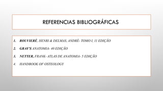 REFERENCIAS BIBLIOGRÁFICAS
1. ROUVIERÉ, HENRI & DELMAS, ANDRÉ- TOMO I, 11 EDIÇÃO
2. GRAY’S ANATOMIA- 40 EDIÇÃO
3. NETTER, FRANK- ATLAS DE ANATOMIA- 5 EDIÇÃO
4. HANDBOOK OF OSTEOLOGY
 