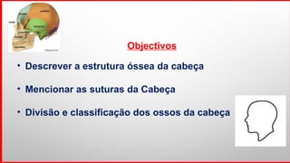 Objectivos
• Descrever a estrutura óssea da cabeça
• Mencionar as suturas da Cabeça
• Divisão e classificação dos ossos da cabeça
 