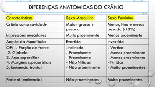 DIFERENÇAS ANATOMICAS DO CRÂNIO
Características Sexo Masculino Sexo Feminino
Crânio como cavidade Maior, grosso e
pesado
Menor, Fino e menos
pesado (-10%)
Impressões musculares Muito proeminente Menos proeminente
Angulo da Mandibula Evertido Invertido
OF: 1. Porção de fronte
2. Glabela
3. Arco superciliar
4. Margens supraorbitais
5. Eminencia frontal
-Inclinado
- Proeminente
- Proeminente
- Não Nítidas
- Não proeminente
- Vertical
- Menos proeminente
- Menos proeminente
- Nítidas
- Muito proeminentes
Parietal (eminencia) Não proeminentes Muito proeminentes
 