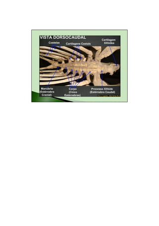 26/08/2010




        7
 