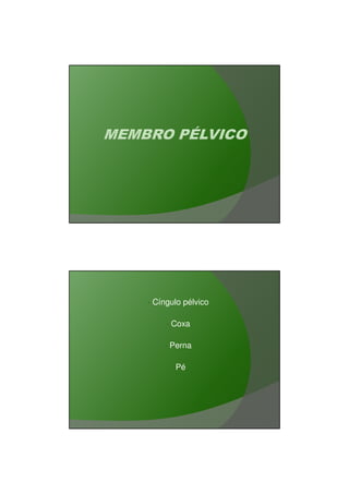 03/03/2011




•   Cíngulo pélvico

       •   Coxa

       •   Perna

           •   Pé




                             13
 