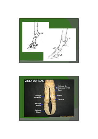 03/03/2011




       21
 