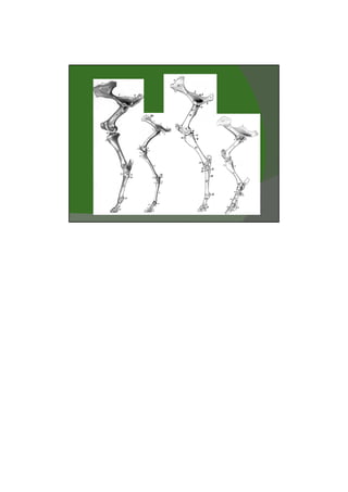 03/03/2011




       23
 