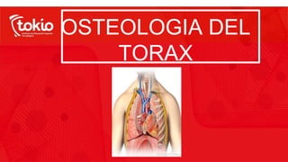 OSTEOLOGIA DEL
TORAX
 