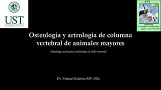 Osteology and spinal arthrology of older animals
 