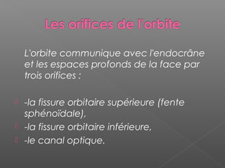 L'orbite communique avec l'endocrâne
et les espaces profonds de la face par
trois orifices :
 -la fissure orbitaire supérieure (fente
sphénoïdale),
 -la fissure orbitaire inférieure,
 -le canal optique.
 