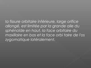 la fissure orbitaire inférieure, large orifice
allongé, est limitée par la grande aile du
sphénoïde en haut, la face orbitaire du
maxillaire en bas et la face orbi taire de l'os
zygomatique latéralement.
 