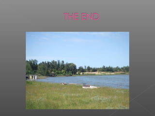 Osteologie cranio faciale