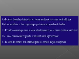 Osteologie cranio faciale