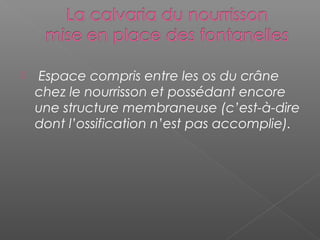   Espace compris entre les os du crâne
chez le nourrisson et possédant encore
une structure membraneuse (c’est-à-dire
dont l’ossification n’est pas accomplie).
 