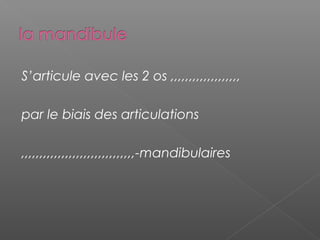 S’articule avec les 2 os ,,,,,,,,,,,,,,,,,,,
par le biais des articulations
,,,,,,,,,,,,,,,,,,,,,,,,,,,,,,,-mandibulaires
 
