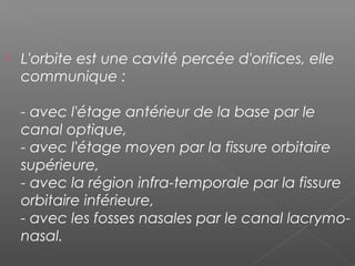  L'orbite est une cavité percée d'orifices, elle
communique :
 
- avec l'étage antérieur de la base par le
canal optique,
- avec l'étage moyen par la fissure orbitaire
supérieure,
- avec la région infra-temporale par la fissure
orbitaire inférieure,
- avec les fosses nasales par le canal lacrymo-
nasal.
 