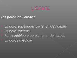 Les parois de l’orbite :
 La paroi supérieure  ou le toit de l’orbite
 La paroi latérale 
 Parois inférieure ou plancher de l’orbite 
 La parois médiale 
 