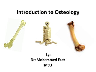 Introduction to Osteology By: Dr: Mohammed Faez MSU 
