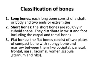 Classification of bones<br />Long bones: each long bone consist of a shaft or body and two ends or extremities<br />Short ...