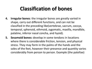 Classification of bones<br />Irregular bones: the irregular bones are greatly varied in shape, carry out different functio...