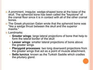  A prominent, irregular, wedge-shaped bone at the base of the
skull. The sphenoid bone has been called the "keystone" of
the cranial floor since it is in contact with all of the other cranial
bones.
 The Greek physician Galan wrote that the sphenoid bone was
"like a wedge thrust between the skull and the superior
maxilla."
 Landmarks
 Greater wings: large lateral projections of bone that help to
form the lateral border of the skull
 Lesser wings: smaller lateral projections of bone above
the greater wings
 Pterygoid processes: two long downward projections from
the greater wings that act as a point of muscle attachment.
 Sella turcica: known as the Turkish Saddle which cradles
the pituitary gland.
 