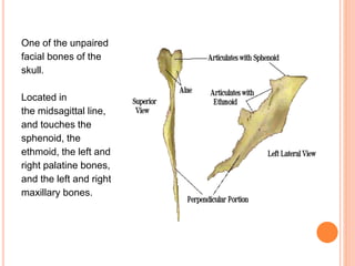 One of the unpaired
facial bones of the
skull.
Located in
the midsagittal line,
and touches the
sphenoid, the
ethmoid, the left and
right palatine bones,
and the left and right
maxillary bones.
 