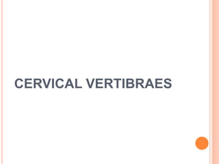 CERVICAL VERTIBRAES
 