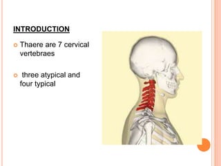 INTRODUCTION
 Thaere are 7 cervical
vertebraes
 three atypical and
four typical
 