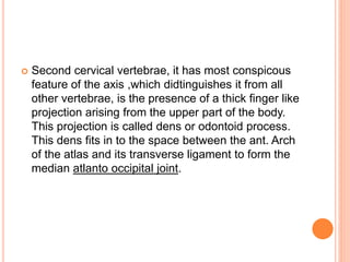  Second cervical vertebrae, it has most conspicous
feature of the axis ,which didtinguishes it from all
other vertebrae, is the presence of a thick finger like
projection arising from the upper part of the body.
This projection is called dens or odontoid process.
This dens fits in to the space between the ant. Arch
of the atlas and its transverse ligament to form the
median atlanto occipital joint.
 