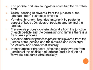 4. The pedicle and lamina togother constitute the vertebral
arch.
5. Spine:-passing backwards from the junction of teo
laminae , there is spinous process.
6. Vertebral foramen:-bounded anteriorly by posterior
aspect of body . On sides of pedicles and behind the
lamina.
7. Transverse process:-passing laterally from the junction
of each pedicle and the corresponding lamina there is a
transverse process
8. Superior articular process:-projecting upwords from the
juntion of the pedicle and the laminae and it directed
posteriorly and some what laterally.
9. Inferior articular process:- projecting down words from
junction of the pedicle and laminae and it is directed
forwards and some what medially.
 