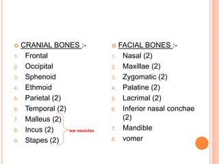  CRANIAL BONES :-
1. Frontal
2. Occipital
3. Sphenoid
4. Ethmoid
5. Parietal (2)
6. Temporal (2)
7. Malleus (2)
8. Incus (2) ear ossicles
9. Stapes (2)
 FACIAL BONES :-
1. Nasal (2)
2. Maxillae (2)
3. Zygomatic (2)
4. Palatine (2)
5. Lacrimal (2)
6. Inferior nasal conchae
(2)
7. Mandible
8. vomer
 