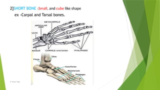 Small Triangular Bone Sharp INTRODUCTION TO BONE, ITS TYPES AND OSTEOLOGY. | PPTX
