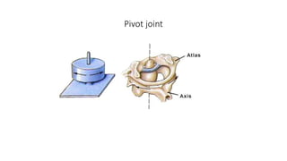 Pivot joint
 