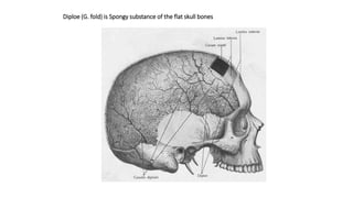 Diploe (G. fold) is Spongy substance of the flat skull bones
 