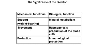 The Significance of the Skeleton
Mechanical functions Biological function
Support
(weight-bearing)
Mineral metabolism
Movement Haemopoiesis –
production of the blood
cells
Protection Immunological
protection
 