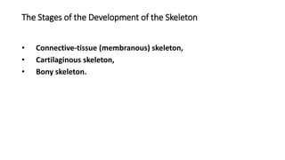 The Stages of the Development of the Skeleton
• Connective-tissue (membranous) skeleton,
• Cartilaginous skeleton,
• Bony skeleton.
 